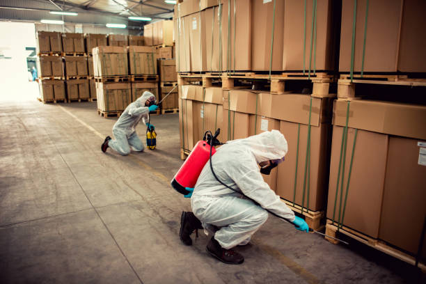 Best Wasp Removal Services  in Cordry Sweetwater Lakes, IN