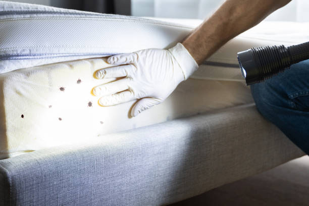 Best Exterminator Services  in Cordry Sweetwater Lakes, IN