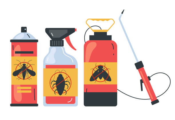 Reliable Cordry Sweetwater Lakes, IN Pest Control Solutions