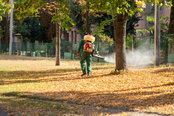 Best Rat Extermination Near Me  in Cordry Sweetwater Lakes, IN
